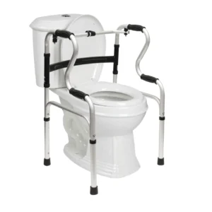 5 in 1 Mobility Bathroom Aid 5