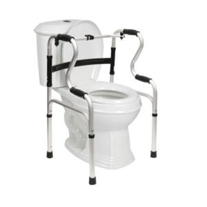 5 in 1 Mobility Bathroom Aid
